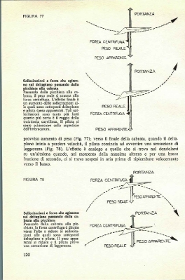 Sulle ali di Dedalo-152